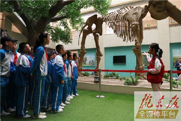 【第一眼】慶陽市博物館開展多項活動慶?！?·18國際博物館日”