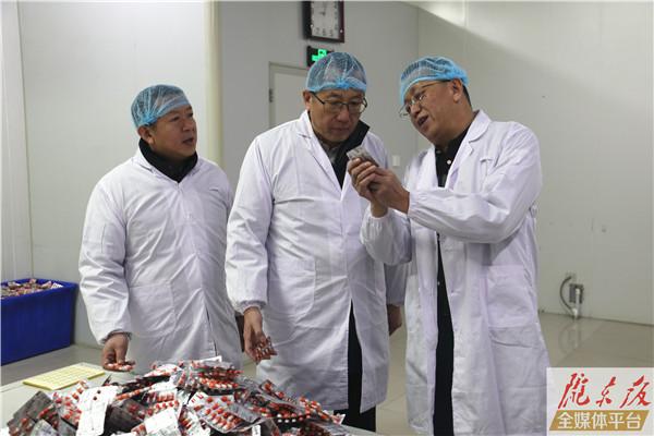 臧秋華來慶陽市調研工業(yè)和信息化工作