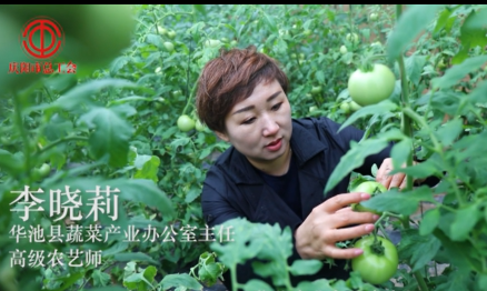 高級農(nóng)藝師:李曉莉