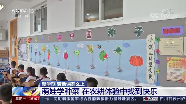 新學(xué)期，勞動(dòng)課怎么上？央視《新聞直播間》關(guān)注北師大慶陽(yáng)附校農(nóng)耕體驗(yàn)課