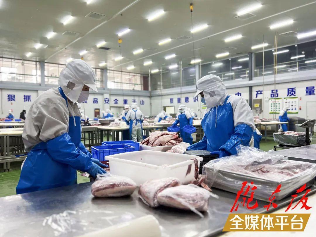 【新春走基層】開年勢頭好 羊肉生產忙
