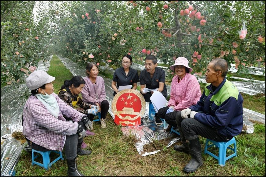 【法治慶陽】新“楓”正勁 向“治”而行——西峰區(qū)人民法院后官寨法庭創(chuàng)建“楓橋式人民法庭”工作紀(jì)實