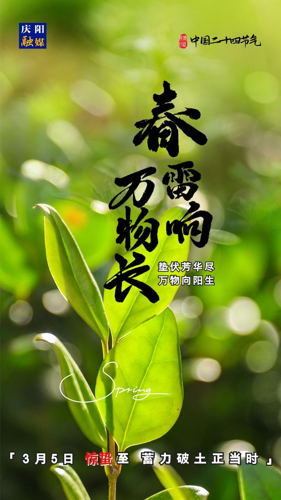【微海報】二十四節(jié)氣丨驚蟄至，蓄力破土正當時