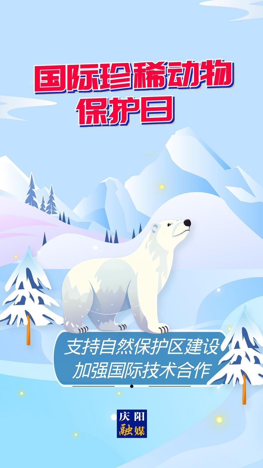 【微海報】國際珍稀動物保護(hù)日丨支持自然保護(hù)區(qū)建設(shè) 加強國際技術(shù)合作