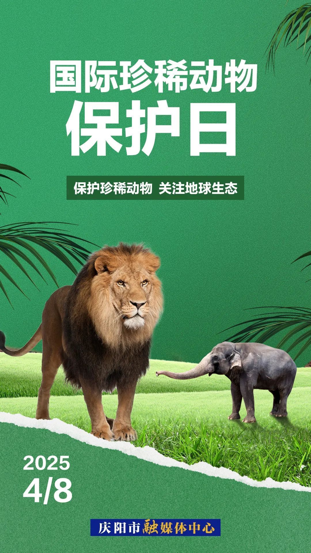 國(guó)際珍稀動(dòng)物保護(hù)日丨因?yàn)椤罢湎　彼浴罢湎А?>

                        <div   id=
