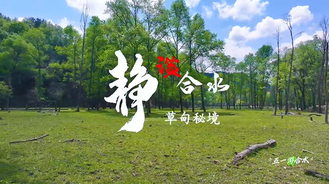 【五一游慶陽(yáng)】靜謐合水︱合水縣太莪鄉(xiāng)草甸秘境等你來(lái)打卡！