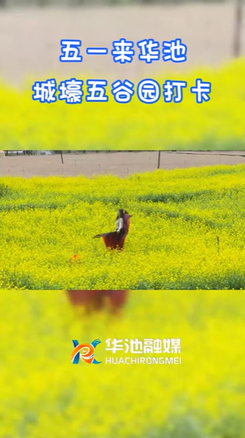 【五一游慶陽(yáng)】歡迎來(lái)華池城壕五谷園打卡?。? />                                            
                                            </div>                                           
                                            </a>                                            
                                        </li>
                                         <li>                                          
                                            <a href=